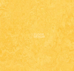 Линолеум Forbo Marmoleum Marbled Fresco 3251-325135 lemon zest фото 1 | FLOORDEALER